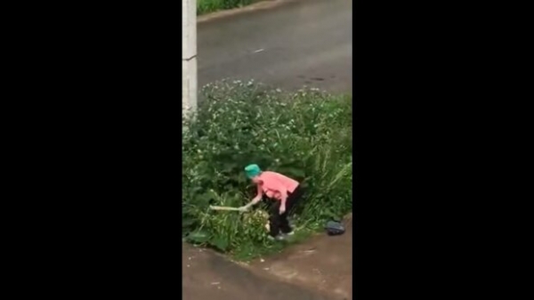 С*кс и ненависть в Ставрополе: горе-любовники в кустах получили доской от боевой бабули