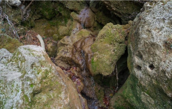 В Крыму пересох живописный водопад Су-Учхан
В Крыму пересох живописный водопад Су-Учхан