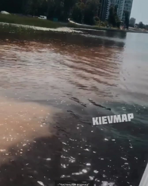 Люди купаются в мутной жиже: в Киеве залив Днепра заполняет неизвестная грязь
Люди купаются в мутной жиже: в Киеве залив Днепра заполняет неизвестная грязь