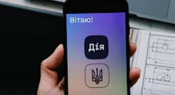 Как оформить справку и выплаты ВПЛ для себя и ребенка в онлайн-режиме: инструкция от Минреинтеграции