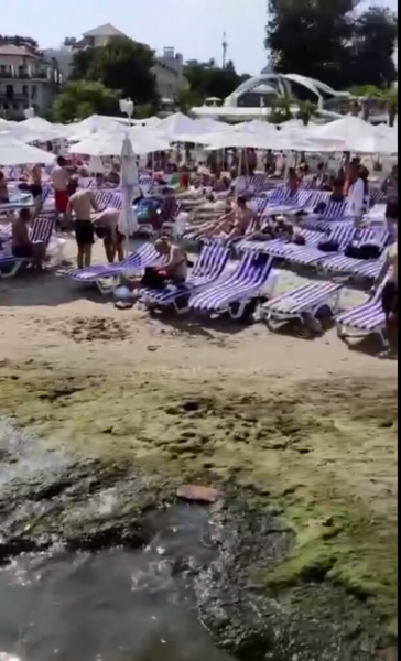 Чёрное море в Одессе превратилось в "зелёный борщик", и медузы тут ни при чем: "Все г**но смыло" Чёрное море в Одессе превратилось в "зелёный борщик", и медузы тут ни при чем: "Все г**но смыло"