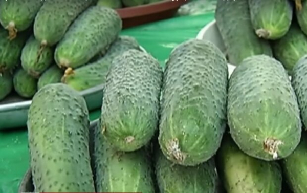 Почему стоит закупиться капустой и огурцами уже сейчас: какая ситуация на овощном рынке в октябре