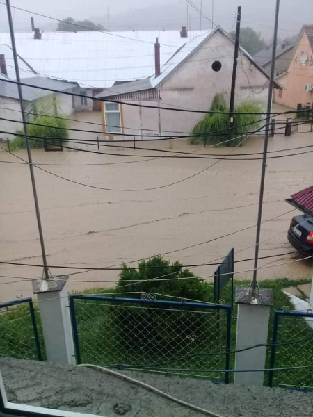 Вода по пояс и плавающие машины: дожди на Закарпатье превратили несколько сел в реки
