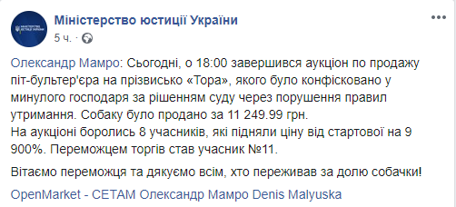 На 9900% дороже: Минюст продал на аукционе конфискованную у хозяина собаку
На 9900% дороже: Минюст продал на аукционе конфискованную у хозяина собаку