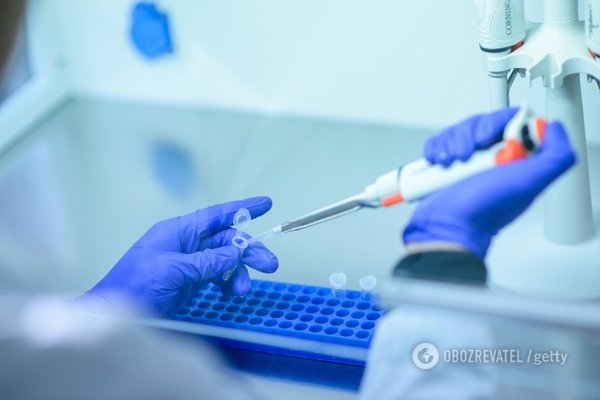Наподобие Covid-19: ученые предрекли миру новую пандемию
Наподобие Covid-19: ученые предрекли миру новую пандемию