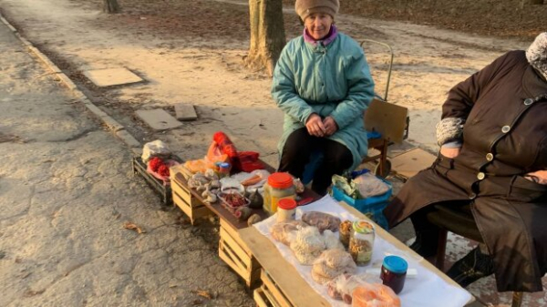 Украинские фермеры получат огромную финансовую помощь: кому и как подать заявку уже сейчас