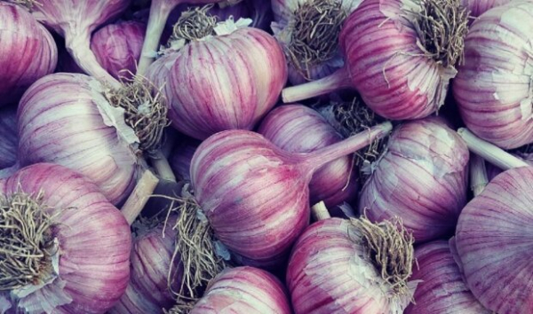 "Заедать" стресс можно с пользой: какие продукты снизят тревожность и насытят организм витаминами "Заедать" стресс можно с пользой: какие продукты снизят тревожность и насытят организм витаминами