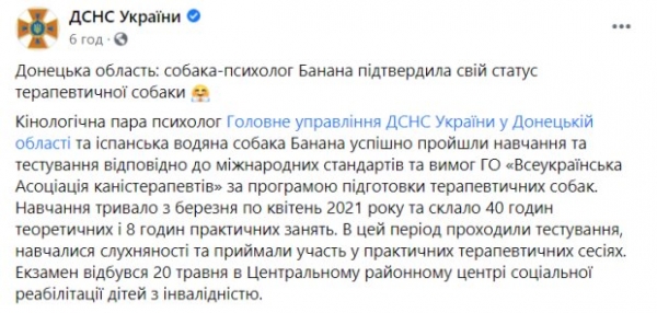 Собака Банана получила диплом психолога и мировую славу: будет лечить людей Собака Банана получила диплом психолога и мировую славу: будет лечить людей