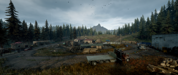Разработчики Days Gone показали красоты ПК-версии игры
