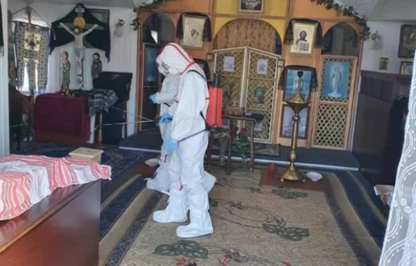 Ученые обнаружили кучу новых коронавирусов у летучих мышей - по каждому на вид