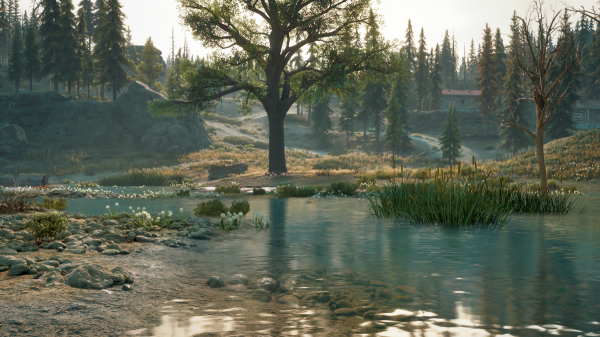 Разработчики Days Gone показали красоты ПК-версии игры
