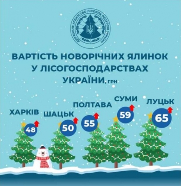 В Украине готовятся к Новому 2021 году: сколько стоит елка в разных городах страны