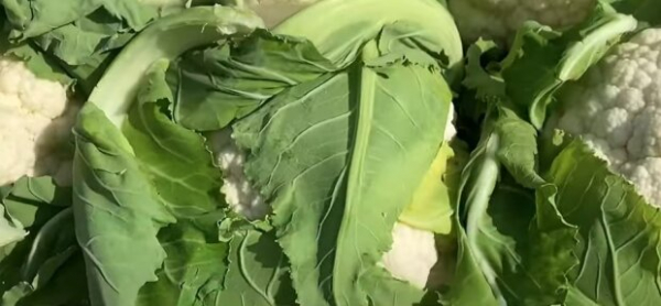Как приготовить котлеты без грамма мяса: никто даже не догадается