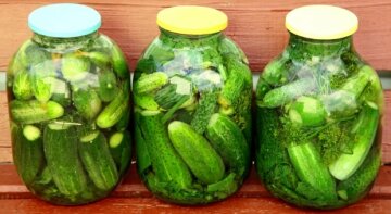 Что нельзя делать с деревьями 8 октября и какую одежду нужно достать: приметы и запреты на Пелагии и Трифона Что нельзя делать с деревьями 8 октября и какую одежду нужно достать: приметы и запреты на Пелагии и Трифона