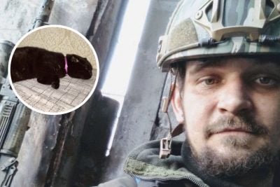 Перед смертью просил спасти кота: украинцы исполнили последнее желание военного с "Азовстали"
