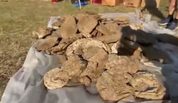 Россияне сразятся в бросании говна: спорт достоен государства Россияне сразятся в бросании говна: спорт достоен государства