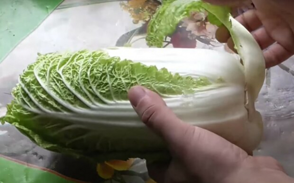 Почему стоит закупиться капустой и огурцами уже сейчас: какая ситуация на овощном рынке в октябре