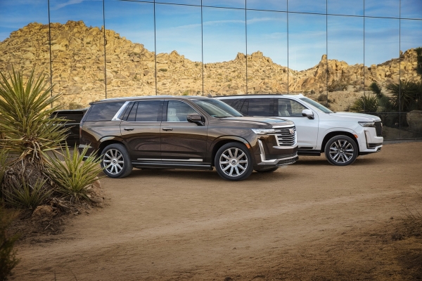 Самый большой Cadillac оценили в $80490
Самый большой Cadillac оценили в $80490