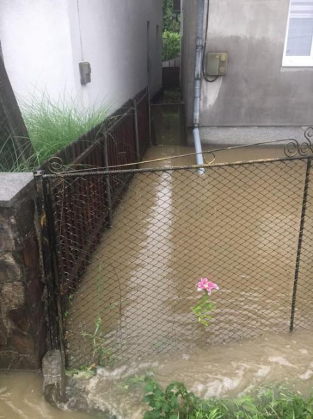 Вода по пояс и плавающие машины: дожди на Закарпатье превратили несколько сел в реки
