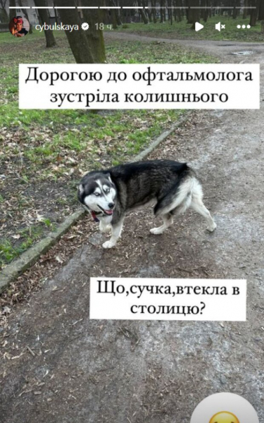 "Что с*чка, сбежала?": Оля Цибульская наткнулась на бывшего, такой и покусать может "Что с*чка, сбежала?": Оля Цибульская наткнулась на бывшего, такой и покусать может
