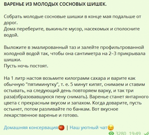 Рецепт варенья из сосновых шишек: почти бесплатно и очень полезно Рецепт варенья из сосновых шишек: почти бесплатно и очень полезно