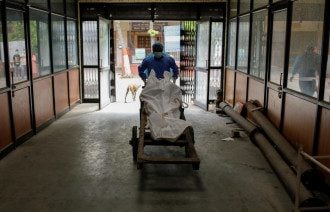 В Украине резко выросло число жертв коронавируса за сутки
В Украине резко выросло число жертв коронавируса за сутки