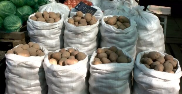 В Украине подорожал картофель: как это повлияло на качество и что будет с ценами дальше