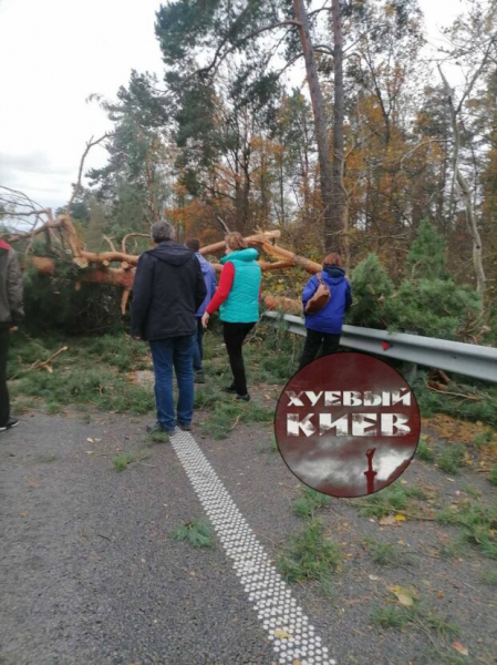 Штормовое предупреждение в Украине: буря ломает деревья, ветер сносит крыши – ужасные последствия Штормовое предупреждение в Украине: буря ломает деревья, ветер сносит крыши – ужасные последствия