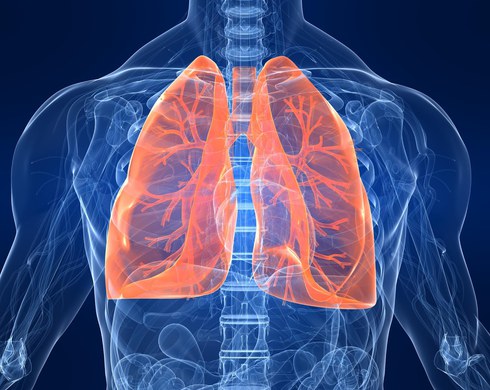 Медики нашли новую причину возникновения рака легких
Медики нашли новую причину возникновения рака легких