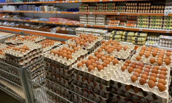 Украинцы могут не бояться подорожания курятины и яиц в канун Пасхи: после праздника цены даже пойдут на спад Украинцы могут не бояться подорожания курятины и яиц в канун Пасхи: после праздника цены даже пойдут на спад
