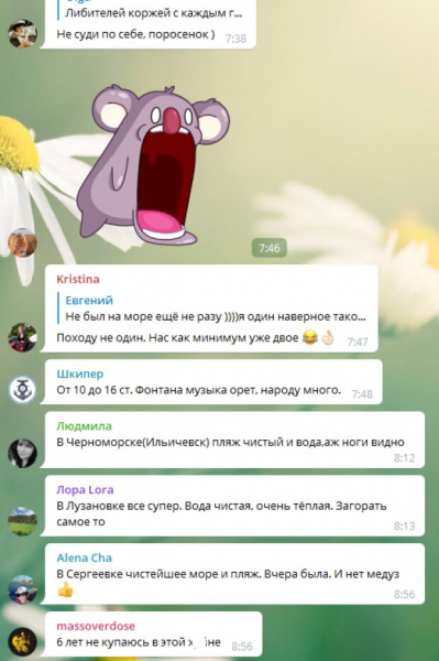 Чёрное море в Одессе превратилось в "зелёный борщик", и медузы тут ни при чем: "Все г**но смыло" Чёрное море в Одессе превратилось в "зелёный борщик", и медузы тут ни при чем: "Все г**но смыло"