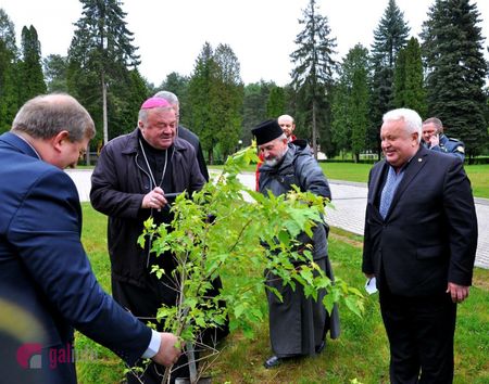 На Львовщине в знак единства духовенство посадило клен На Львовщине в знак единства духовенство посадило клен