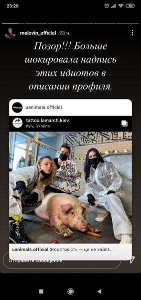 Melovin оказался клиентом салона, где свинье набивали тату на всю спину: "Мне стыдно" Melovin оказался клиентом салона, где свинье набивали тату на всю спину: "Мне стыдно"