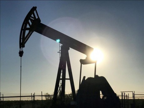 Британская компания возобновила добычу нефти на Львовщине Британская компания возобновила добычу нефти на Львовщине