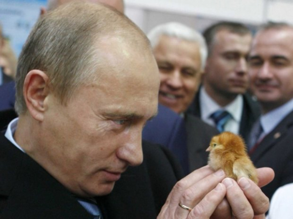 Больной диктатор путин начал срочно отменять все поездки, здоровье дает о себе знать Больной диктатор путин начал срочно отменять все поездки, здоровье дает о себе знать