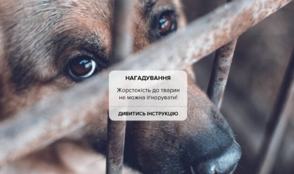 Живодеры сядут на 5 лет и заплатят: украинцам рассказали, что сделают с любителями крутить хвосты и ломать лапки Живодеры сядут на 5 лет и заплатят: украинцам рассказали, что сделают с любителями крутить хвосты и ломать лапки