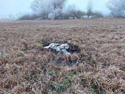 "Она упала на подъезд": ракету, которая ударила по дому в Днепре, сбило ПВО - Арестович
"Она упала на подъезд": ракету, которая ударила по дому в Днепре, сбило ПВО - Арестович