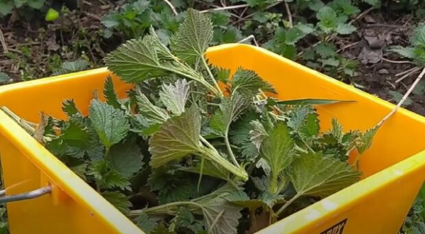 Сохранить мясо без холодильника при отключениях света: не испортится ни один кусочек