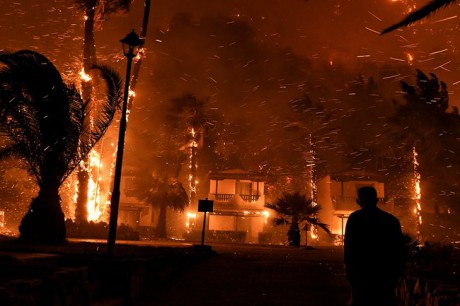 В Греции вспыхнул масштабный лесной пожар