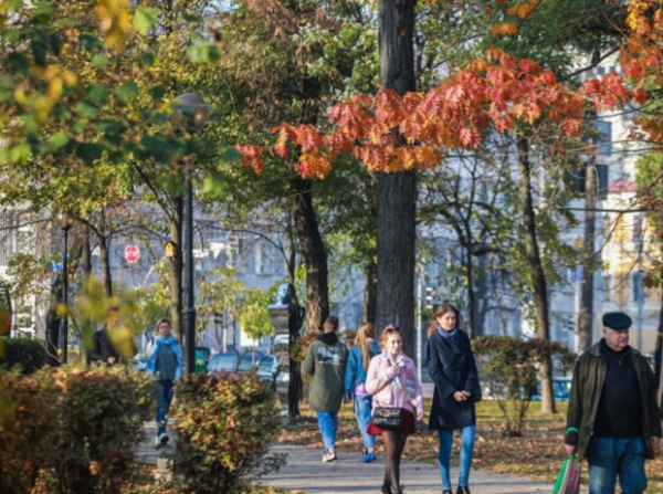 Развернутый лунный календарь на ноябрь 2021: можно все - от стрижки до важной покупки