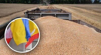 "Если Украина проиграет, цена для мира будет высокой": Кулеба назвал ошибку Запада
"Если Украина проиграет, цена для мира будет высокой": Кулеба назвал ошибку Запада