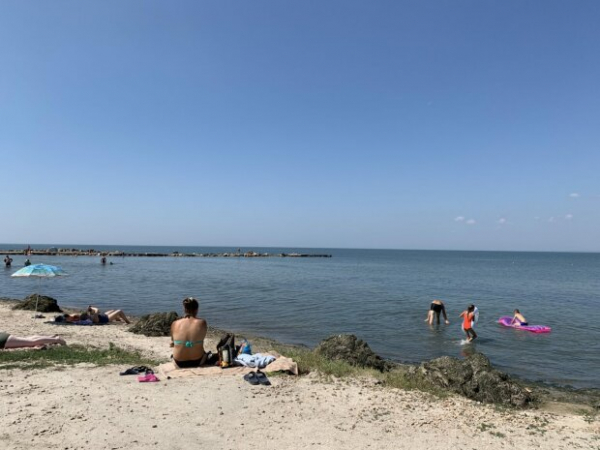 В придачу к медузам: украинский курорт страдает от очередной напасти В придачу к медузам: украинский курорт страдает от очередной напасти