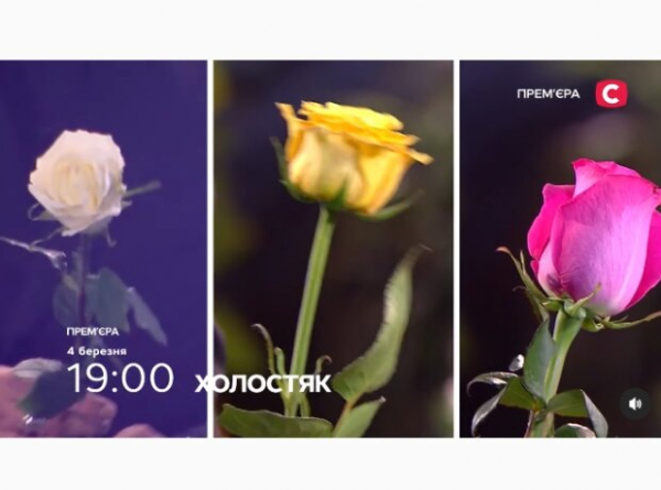 Красная роза - на балкон, желтая - свари борщ: что значат новые правила на шоу "Холостяк" с Алексом Топольским