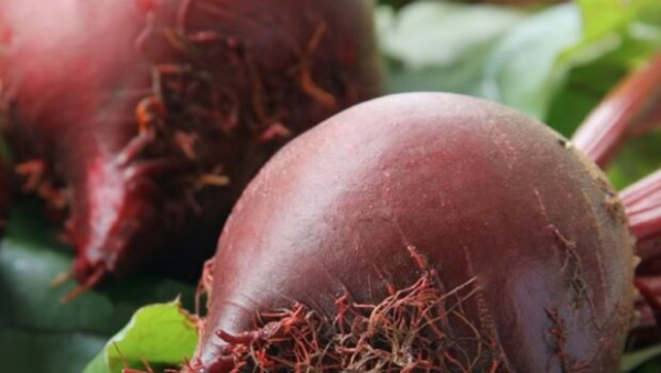 Не потеряет цвет и получится вкусным: 5 самых быстрых способов приготовить свеклу Не потеряет цвет и получится вкусным: 5 самых быстрых способов приготовить свеклу