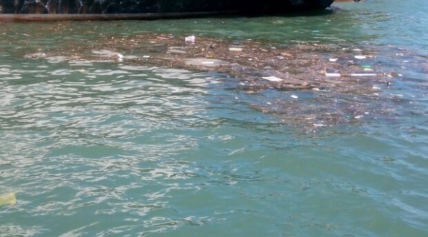 В аннексированном Крыму море покрылось нечистотами &mdash; островки из пластика, водорослей и фекалий