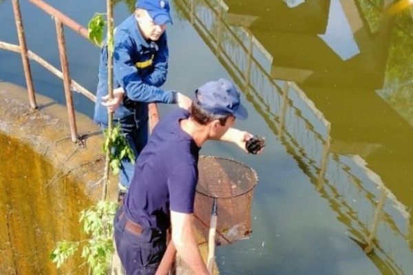 Спасатели показали пример человечности, в грязную воду ради пяти жизней - "Вы прекрасны!"
