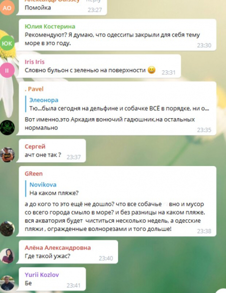 Чёрное море в Одессе превратилось в "зелёный борщик", и медузы тут ни при чем: "Все г**но смыло" Чёрное море в Одессе превратилось в "зелёный борщик", и медузы тут ни при чем: "Все г**но смыло"
