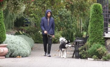 Резина начнет "дубеть" уже скоро: когда украинцам нужно "переобуть" машины на зимние шины Резина начнет "дубеть" уже скоро: когда украинцам нужно "переобуть" машины на зимние шины