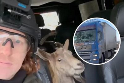 За день до ДТП муж-военный вернулся после ранения: под колесами Tesla погибла известная волонтер
За день до ДТП муж-военный вернулся после ранения: под колесами Tesla погибла известная волонтер