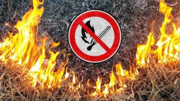 Инспекторы уже "выходят на охоту": украинцев заставят заплатить за популярное нарушение Инспекторы уже "выходят на охоту": украинцев заставят заплатить за популярное нарушение